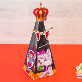 Personalizados Patrulha Canina Mission Paw