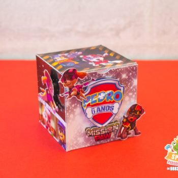 Personalizados Patrulha Canina Mission Paw