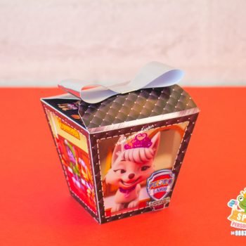 Personalizados Patrulha Canina Mission Paw
