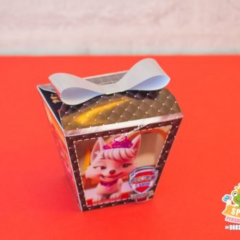Personalizados Patrulha Canina Mission Paw
