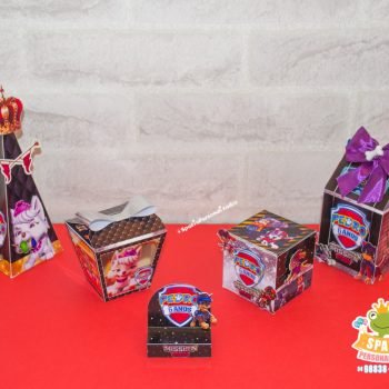 Personalizados Patrulha Canina Mission Paw