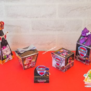 Personalizados Patrulha Canina Mission Paw